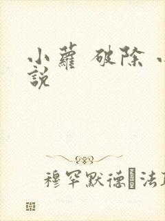 小萝 破除 小说