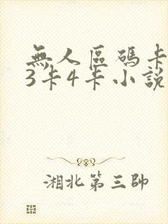 无人区码卡二卡3卡4卡小说