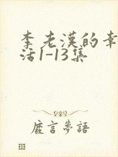 李老汉的幸福生活1-13集