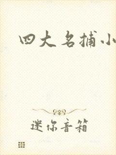 四大名捕小说