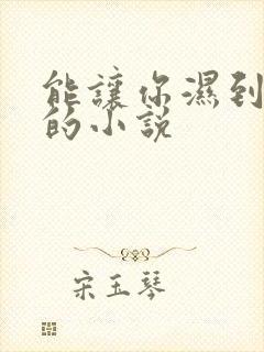 能让你湿到不行的小说