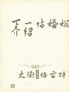 下一站婚姻剧情介绍