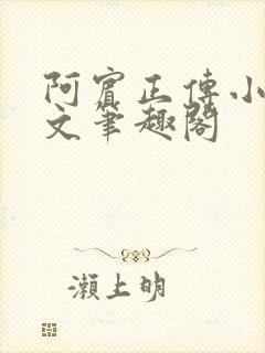 阿宾正传小说全文笔趣阁