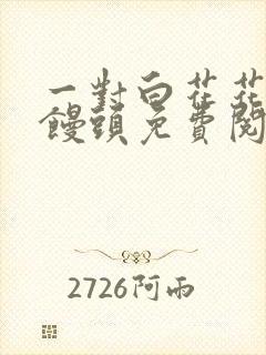 一对白花花的大馒头免费阅读