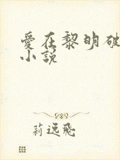 爱在黎明破晓前小说