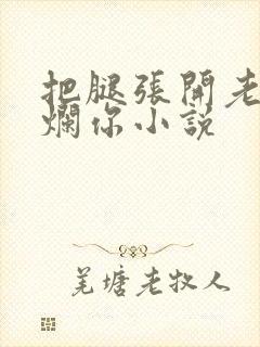 把腿张开老子臊烂你小说