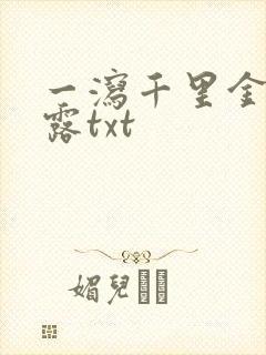 一泻千里金银花露txt