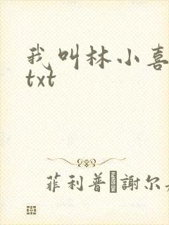 我叫林小喜小说txt