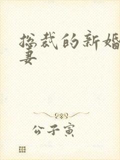 总裁的新婚下堂妻