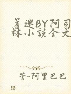 着迷BY阿司匹林小说全文免费阅读