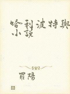 哈利波特与密室小说