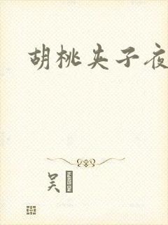 胡桃夹子夜未眠