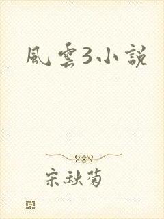 风云3小说