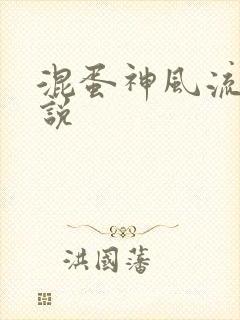 混蛋神风流史小说