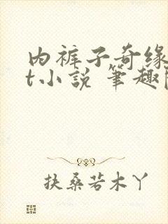 内裤子奇缘txt小说 笔趣阁