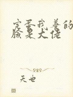 完蛋我养的小白脸是大佬