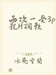 两攻一受3p双龙H调教