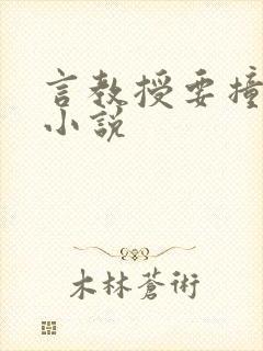 言教授要撞坏了小说