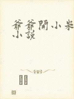 爷爷开小米的包小说