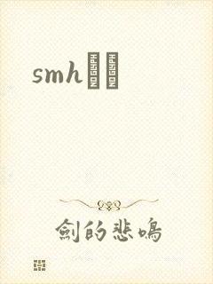 smhС˵