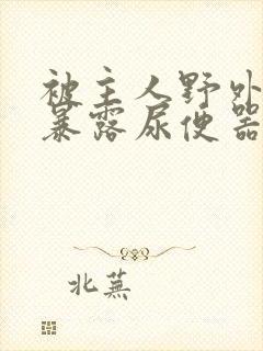 被主人野外调教暴露尿便器