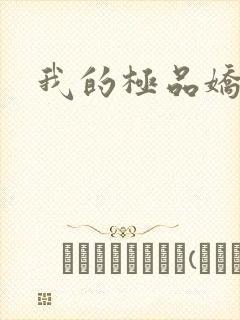 我的极品娇妻