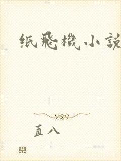 纸飞机小说