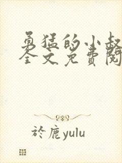 勇猛的小叔小说全文免费阅读