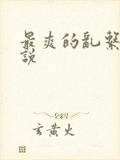 最爽的乱系列小说