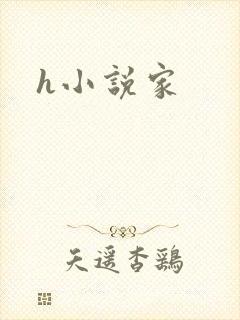 h小说家