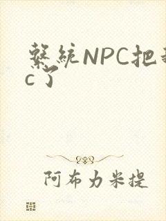 系统NPC把我c了