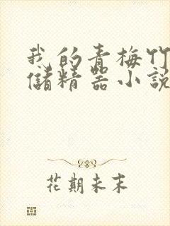 我的青梅竹马是储精器小说