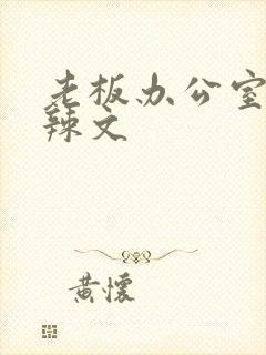 老板办公室系列辣文