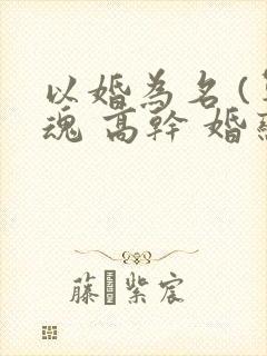 以婚为名 (军魂 高干 婚恋)