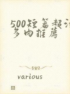 500短篇超污多肉推荐