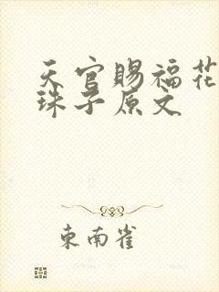 天官赐福花怜塞珠子原文