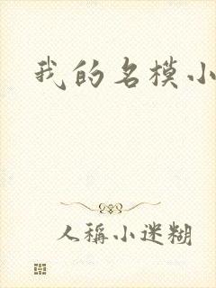 我的名模小娇妻