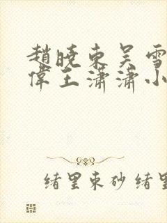 赵晓东吴雪晴郑伟王潇潇小说