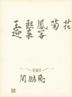 王熙凤菊花门初迎来客