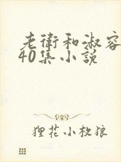 老卫和淑容1-40集小说