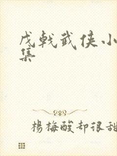 戊戟武侠小说全集