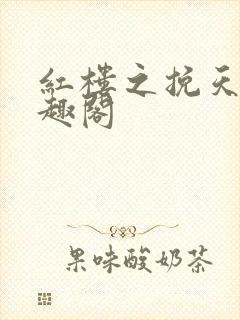 红楼之挽天倾笔趣阁