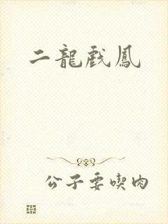 二龙戏凤