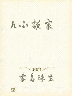 h小说家