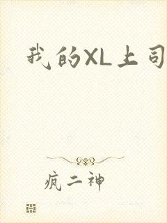我的XL上司