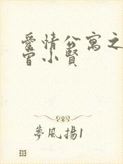 爱情公寓之极品曾小贤