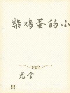 柴鸡蛋的小说