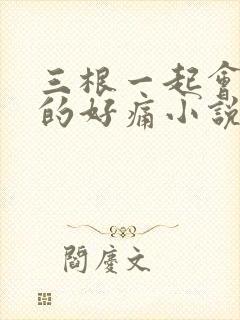 三根一起会坏掉的好痛小说