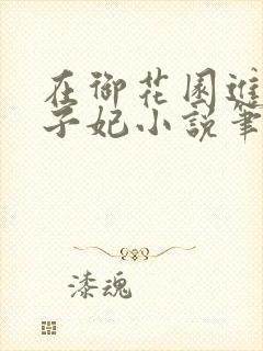 在御花园进入太子妃小说笔趣阁