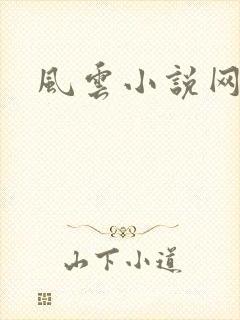 风云小说网